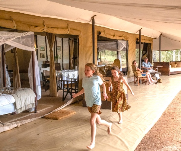 Why a safari is one of the best family holidays abroad