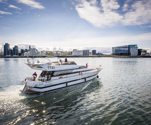 Whale watching from a luxury yacht off Reykjavik, Iceland