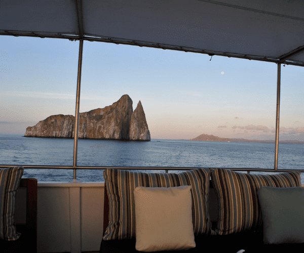 5 reasons why a Galapagos cruise program is a unique experience