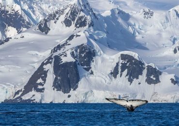 The best Antarctica fly-cruises