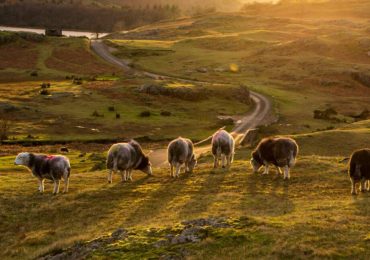 Getting around the Lake District without a car