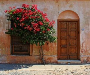 The underrated charm of Uruguay: South America’s best-kept secret