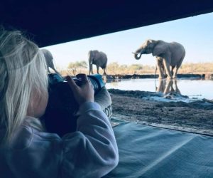 Family-friendly safaris across Africa
