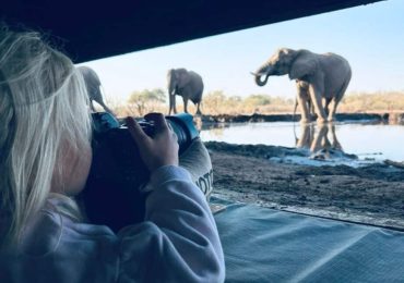 Family-friendly safaris across Africa