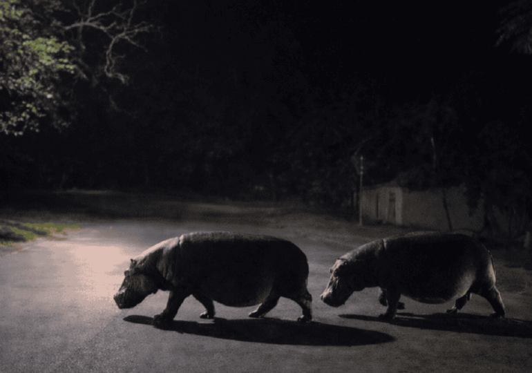 How one family is redefining the safari experience in St Lucia, South Africa