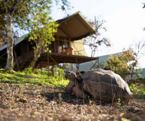 Top 5 land-based stays in the Galapagos Islands