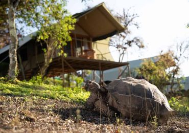 Top 5 land-based stays in the Galapagos Islands