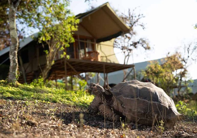 Top 5 land-based stays in the Galapagos Islands