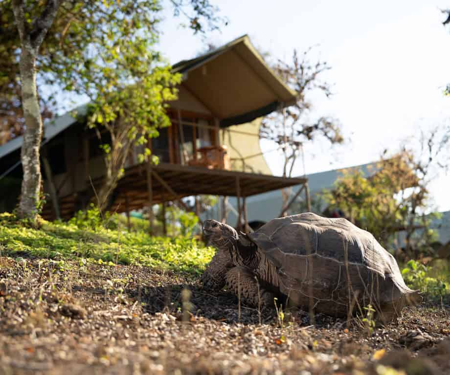 Top 5 land-based stays in the Galapagos Islands
